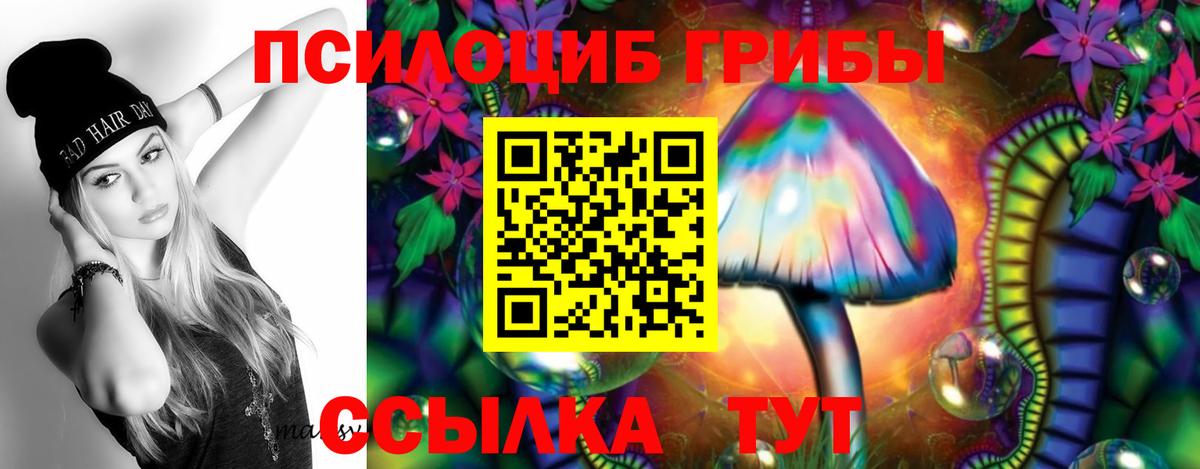 Галлюциногенные грибы GOLDEN TEACHER  Вход с VPN  Галлюциногенные грибы Psilocybine cubensis  Когалым 